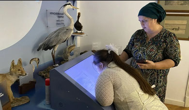 Международный день инвалидов. Равные возможности